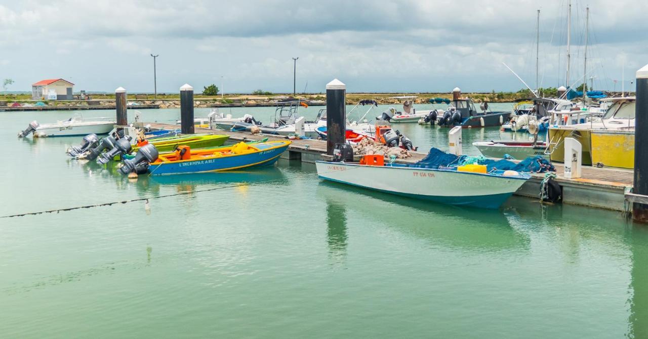 Evasion En Plein Coeur De La Ville Studio Jacuzzis Sauna Et Piscine Au Centre De Port-Louis Kültér fotó